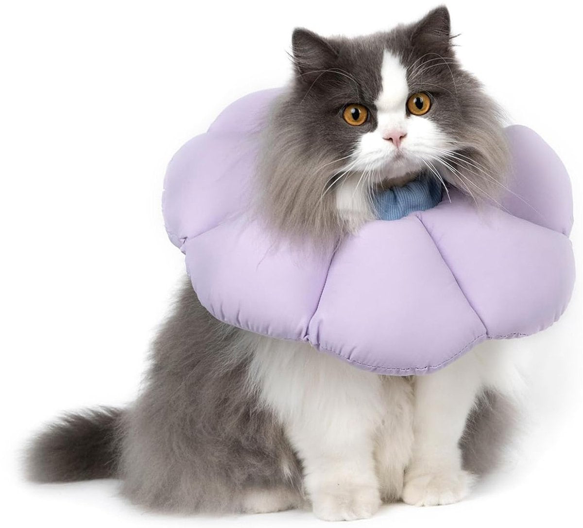 Cat Recovery Collar | Soft Protective Cone | Comfortable