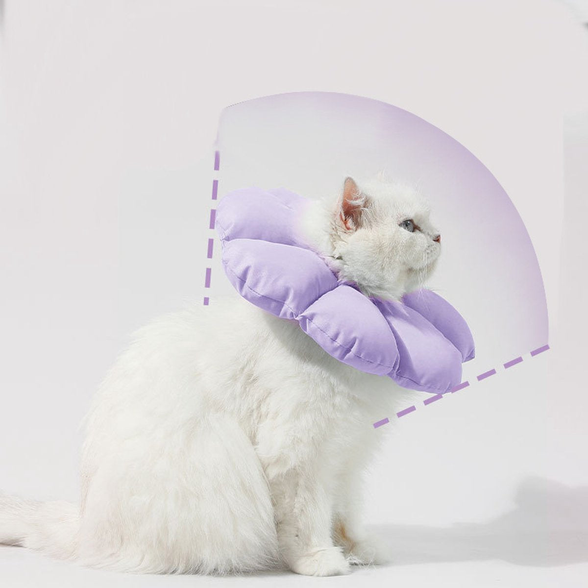 Cat Recovery Collar | Soft Protective Cone | Comfortable