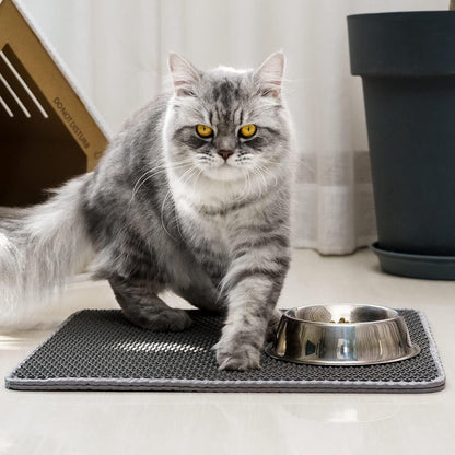 Black Double Layer Cat Litter Mat | 30 x 45 cm