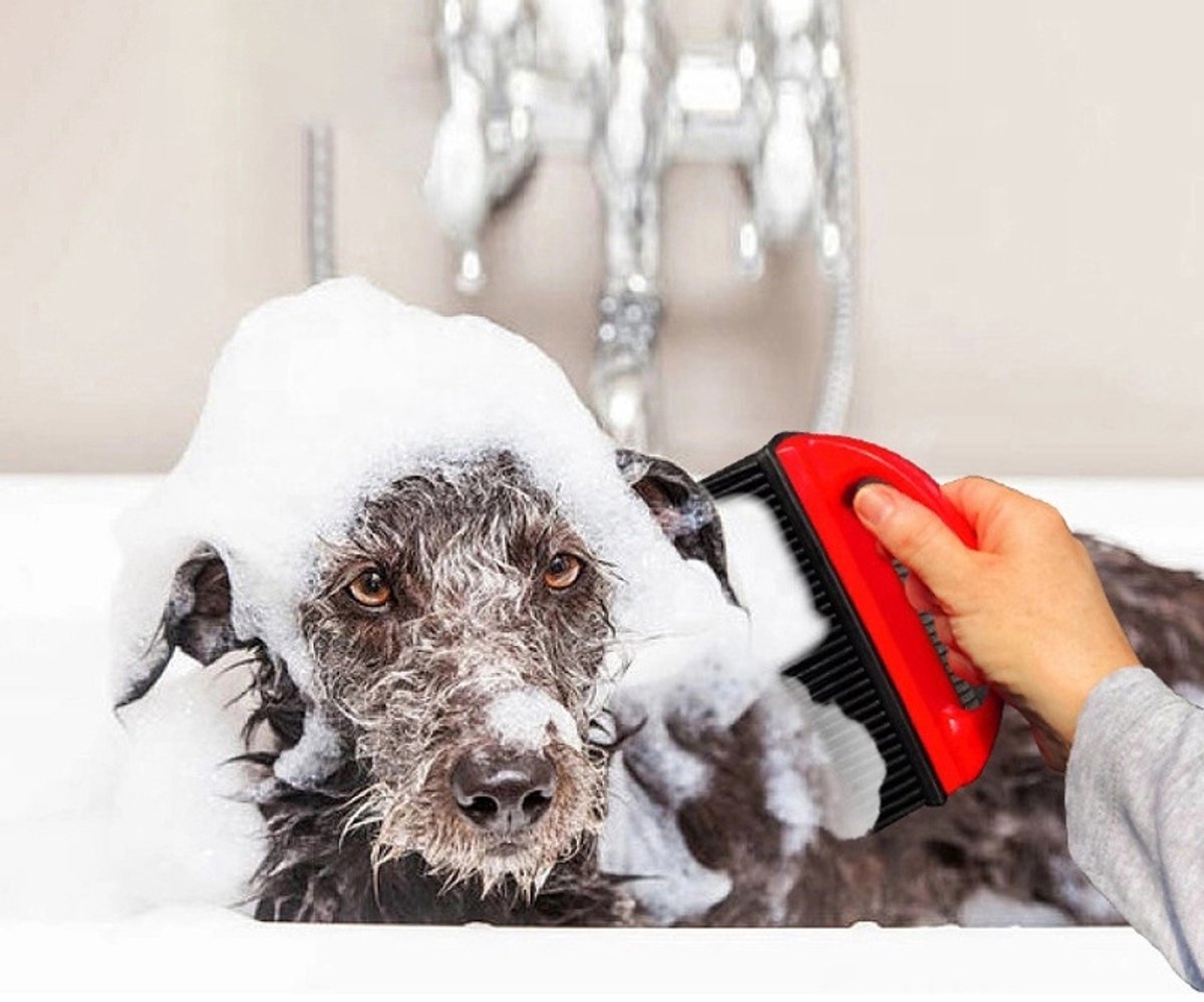 Red Rubber Pet Hair Remover