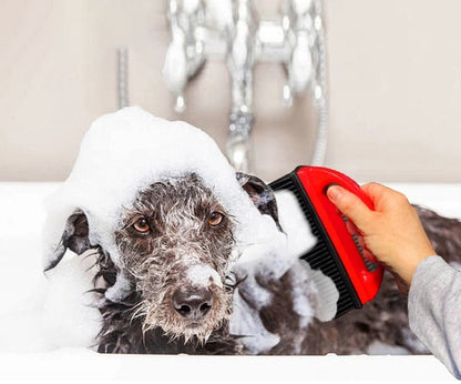 Red Rubber Pet Hair Remover