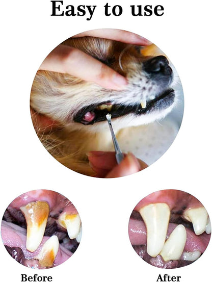 3-Piece Dog & Cat Dental Tooth Scaler Set | Double-Headed
