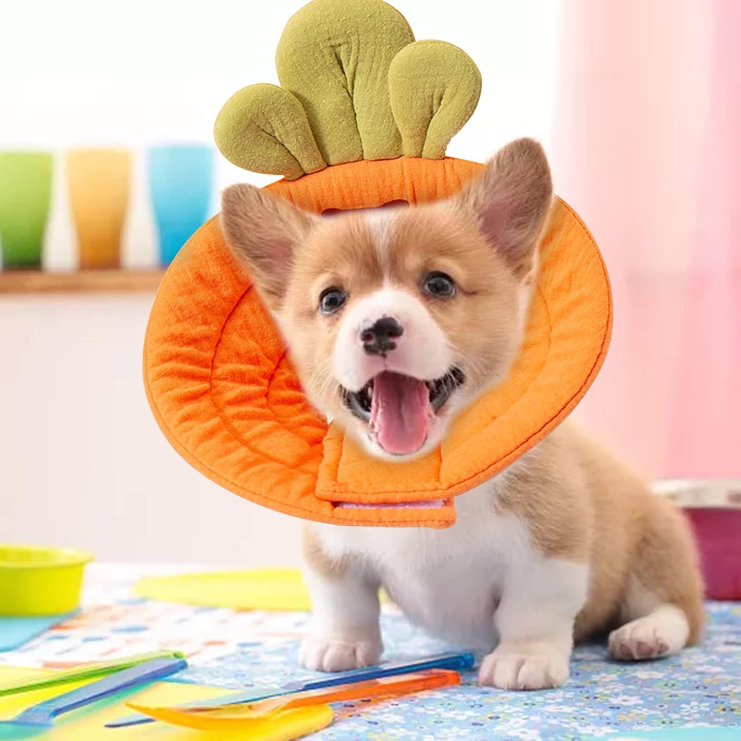Carrot Shape Soft Pet Cone Collar | Small