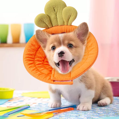 Carrot Shape Soft Pet Cone Collar | Small