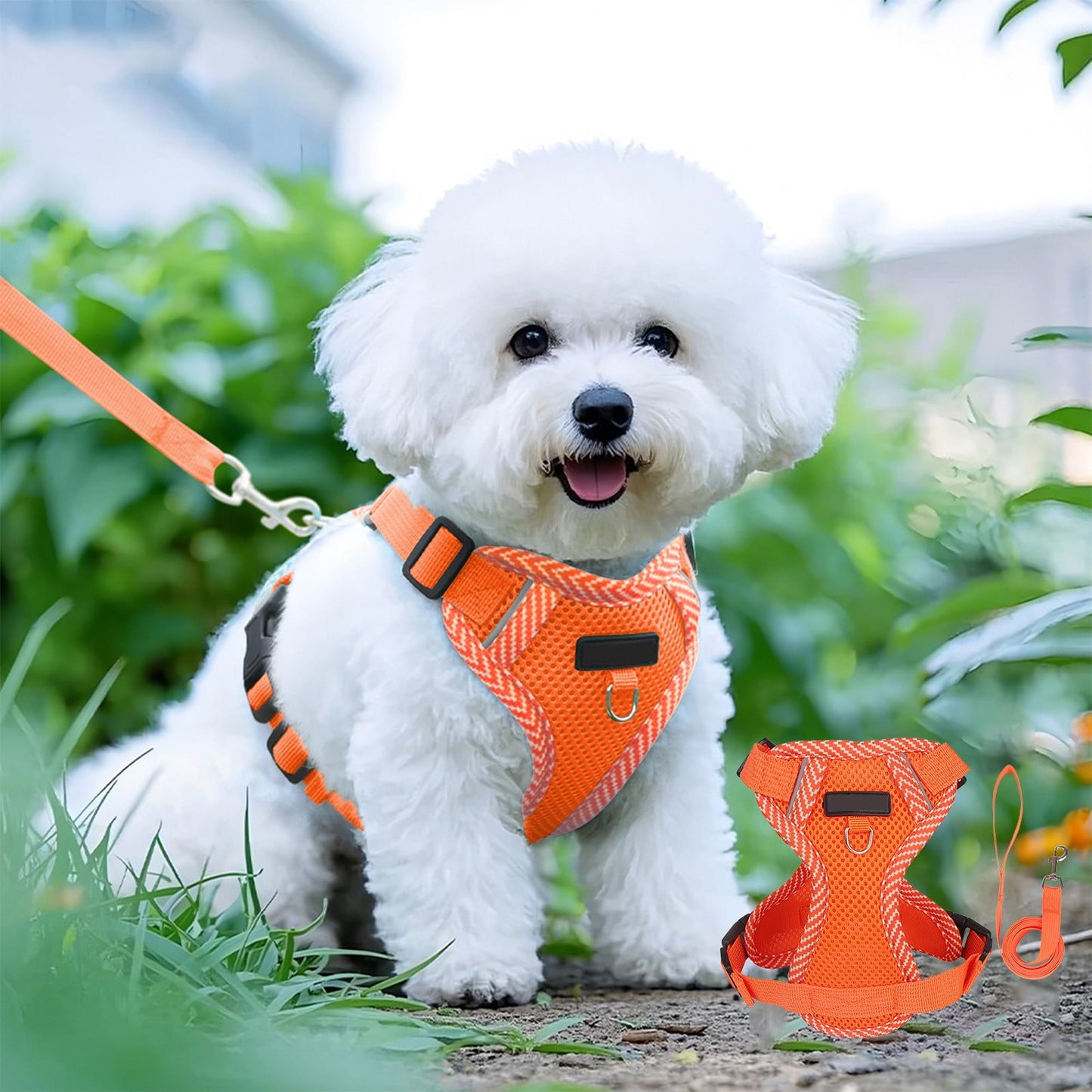 Orange Reflective Step-In Dog & Cat Harness with Lead