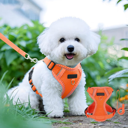 Orange Reflective Step-In Dog & Cat Harness with Lead