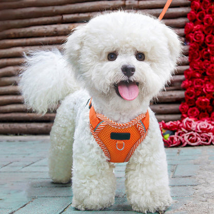 Orange Reflective Step-In Dog & Cat Harness with Lead