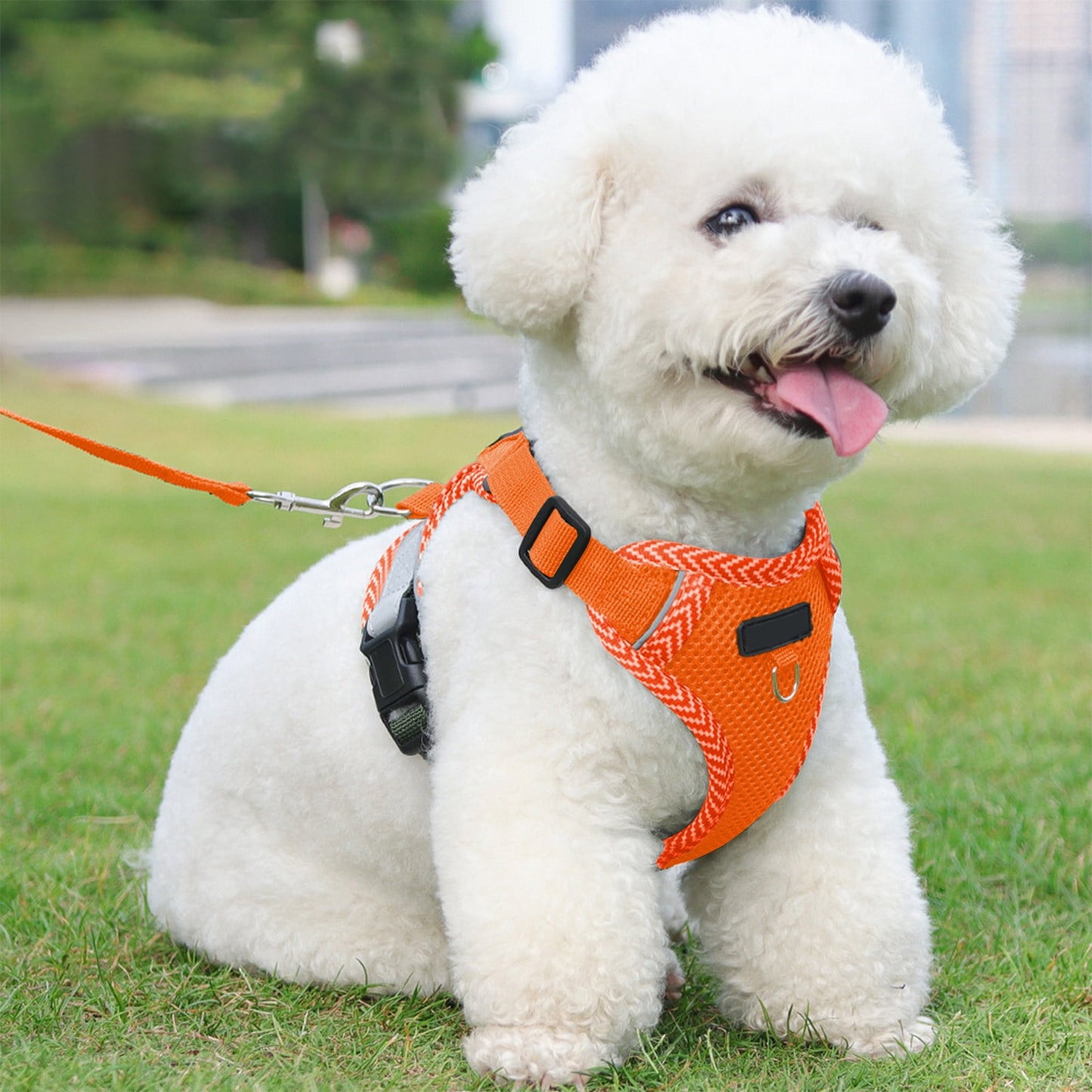Orange Reflective Step-In Dog & Cat Harness with Lead