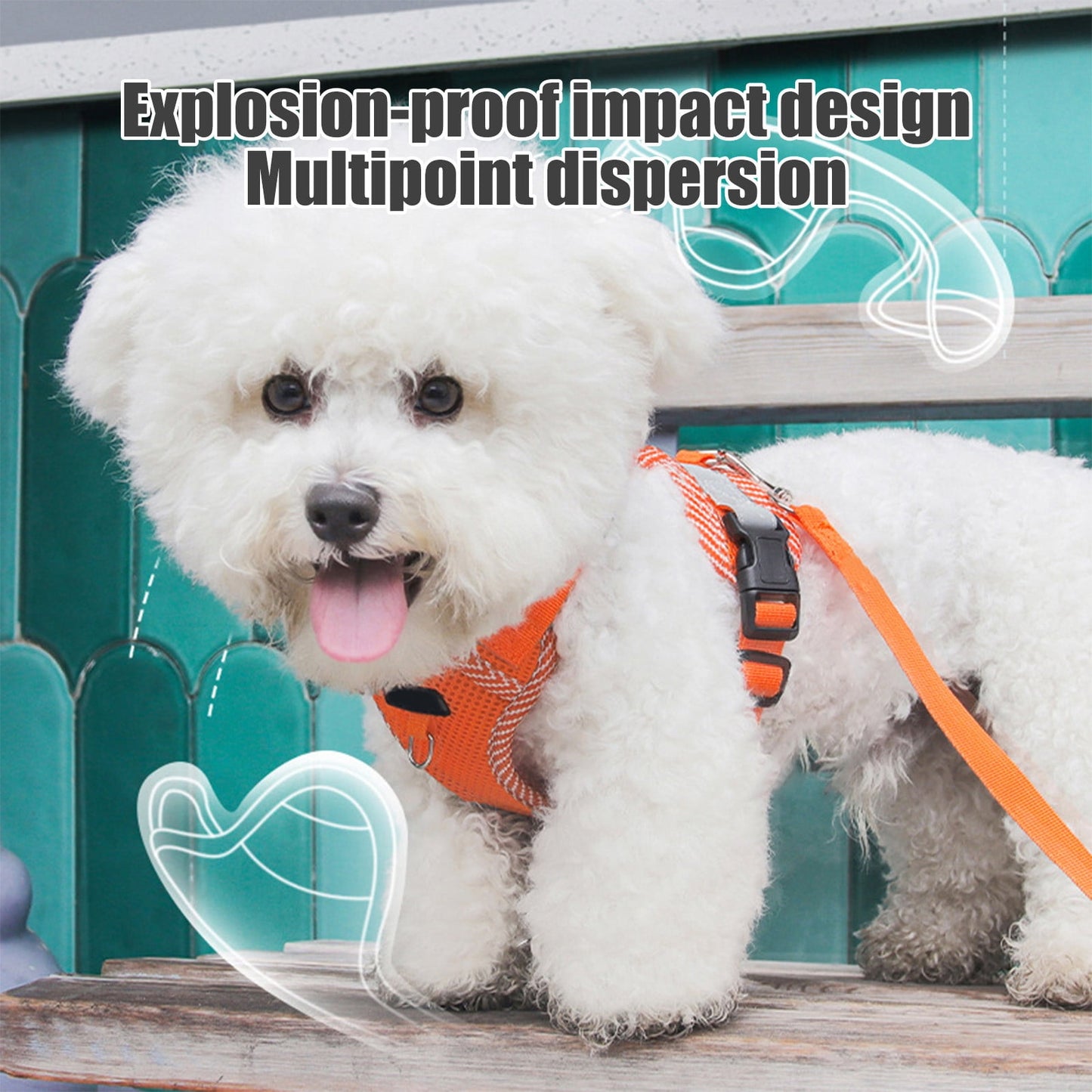 Orange Reflective Step-In Dog & Cat Harness with Lead