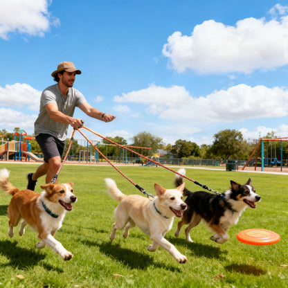 No-Tangle 3-Dog Bungee Leash | Heavy Duty | Reflective