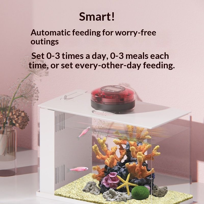 Automatic Fish Feeder for Aquarium