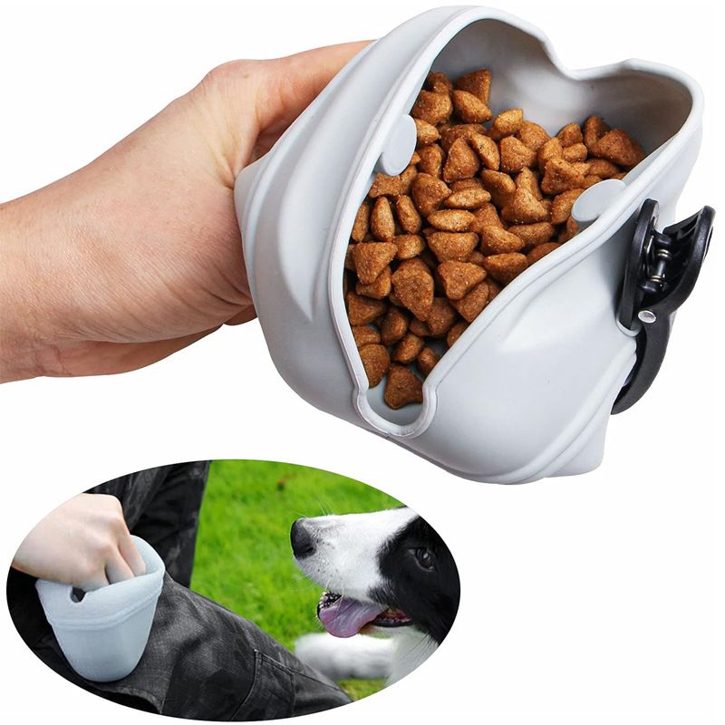 Silicone Dog Treat Pouch 2-Pack