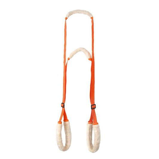 Dog Rear Leg Support Harness 2-Pack