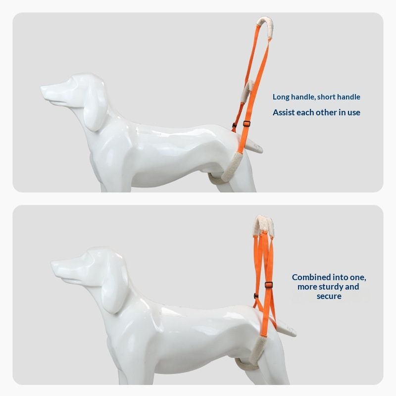 Dog Rear Leg Support Harness 2-Pack