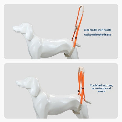 Dog Rear Leg Support Harness 2-Pack