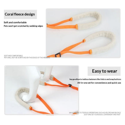 Dog Rear Leg Support Harness 2-Pack