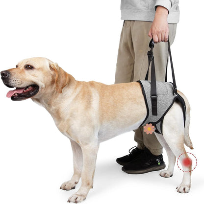 Dog Lift Harness for Medium Large Dogs | Padded