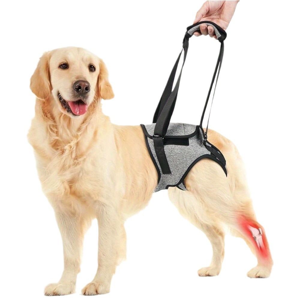 Dog Lift Harness for Medium Large Dogs | Padded