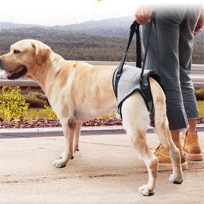 Dog Lift Harness for Medium Large Dogs | Padded
