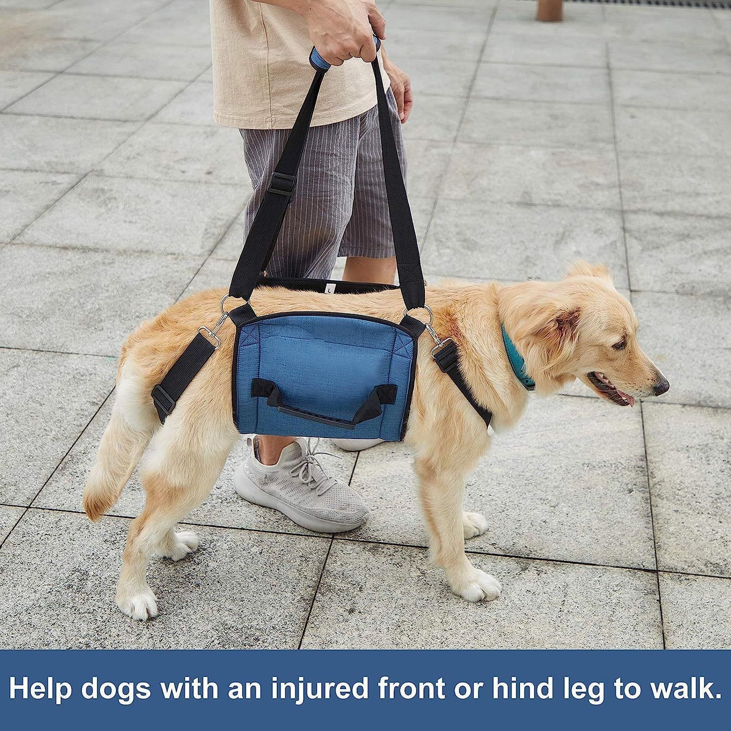 Dog Carry Sling & Lift Harness | L