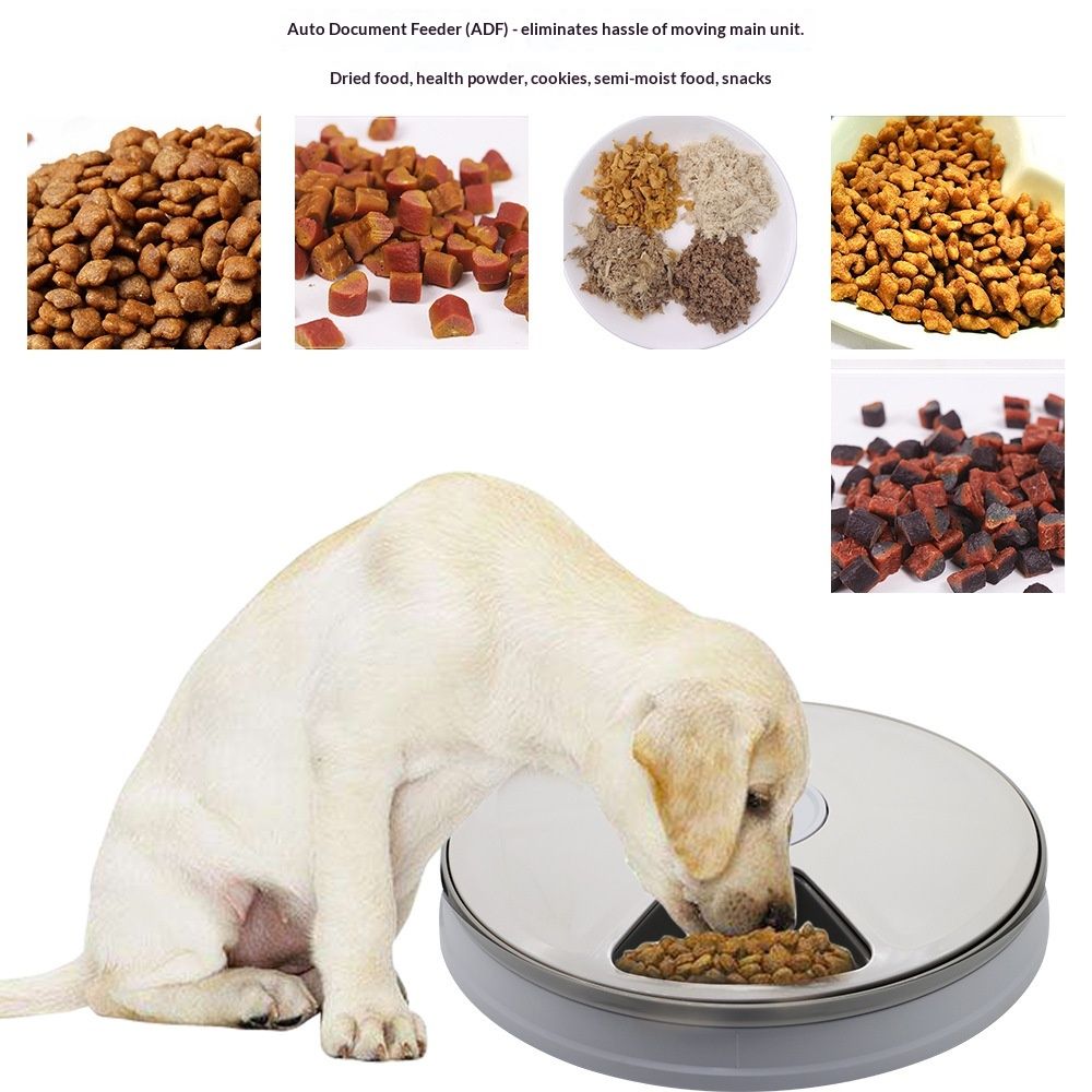 Automatic 6 Bowl Digital Timer-Controlled Pet Feeder