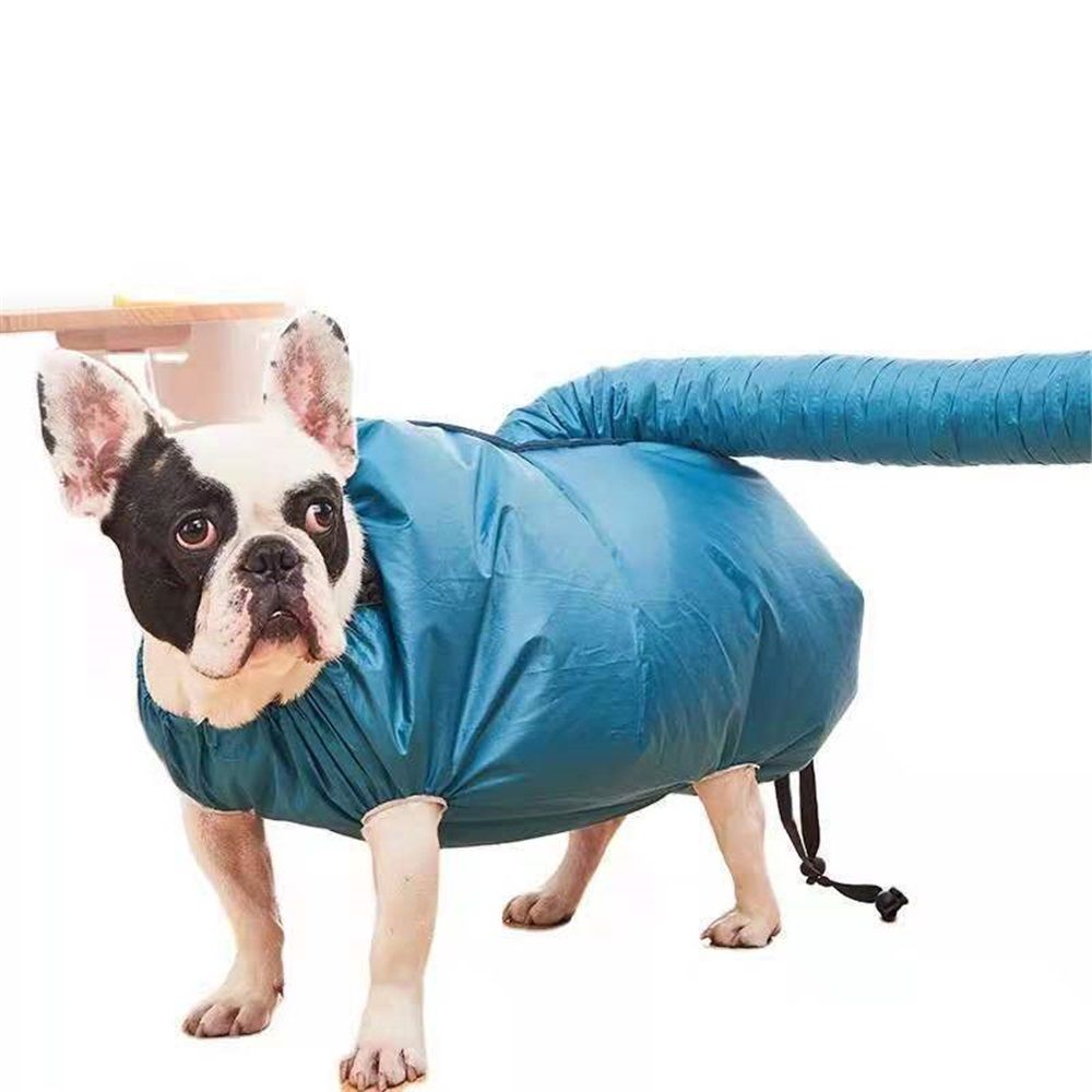 Portable Pet Hair Dryer L | Dogs & Cats