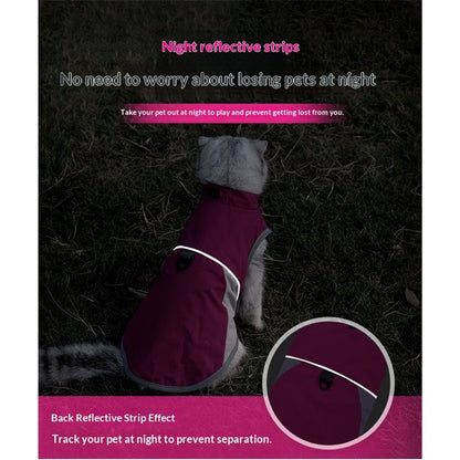 Dog/cat Jacket Outdoor Indoor Activities Waterproof Windproof