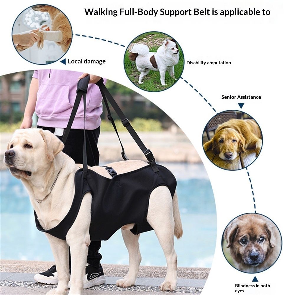 Dog Lift Harness | Rehabilitation Sling Carrier | S
