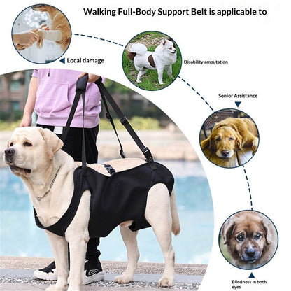 Dog Lift Harness | Rehabilitation Sling Carrier | S