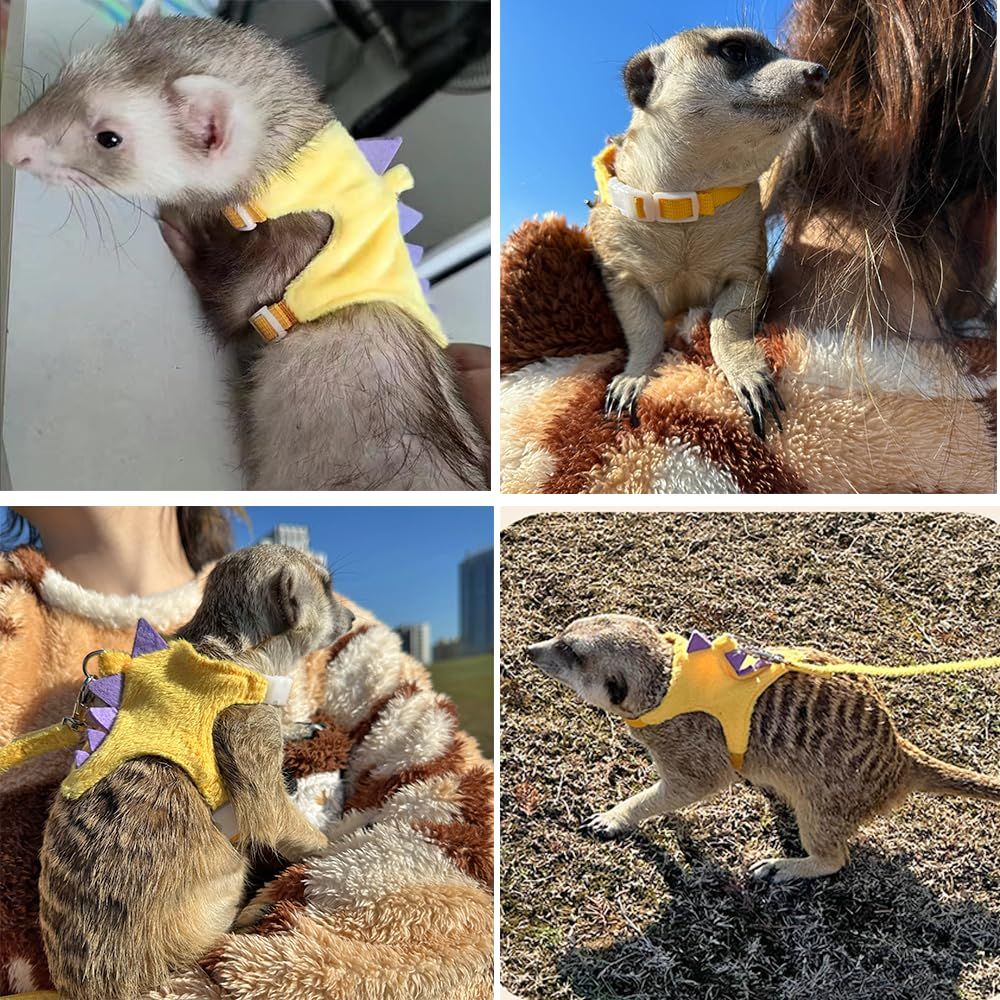 Small Animal Harness and Leash Set | Yellow