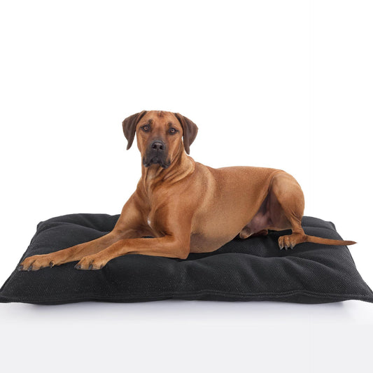 Chew Proof Indestructible Dog Beds for Aggressive Chewers