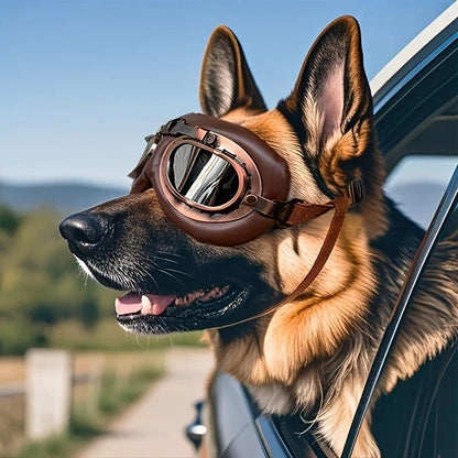 Retro Aviator Dog Goggles | &Color