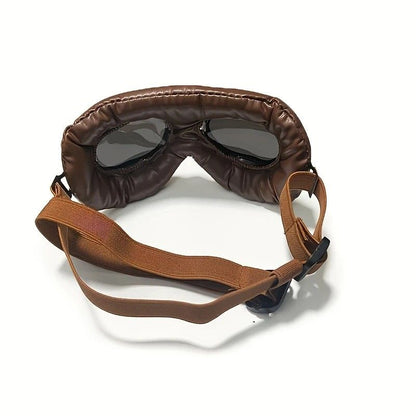 Retro Aviator Dog Goggles | lens (2)