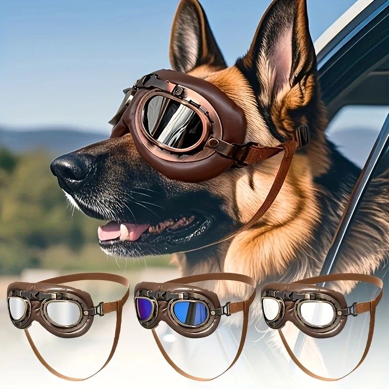 Retro Aviator Dog Goggles | lens (2)