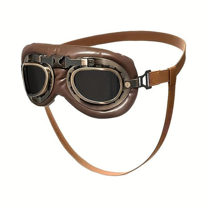 Retro Aviator Dog Goggles | lens (2)
