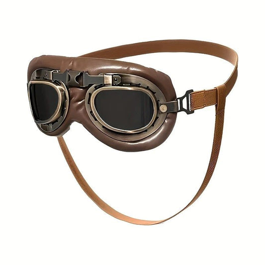 Retro Aviator Dog Goggles | lens