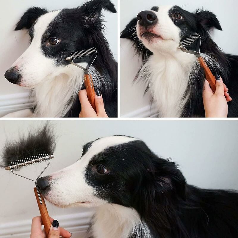 Coat King Pet Grooming Deshedding Brush & Comb Rake | Dogs & Cats