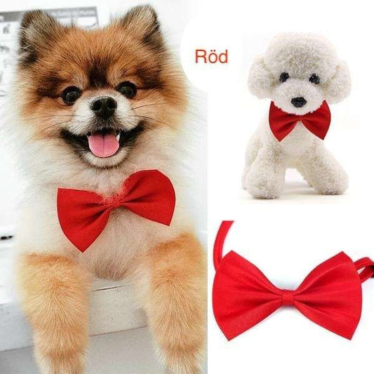 Christmas Dog Cat Bow Tie Collar, Red