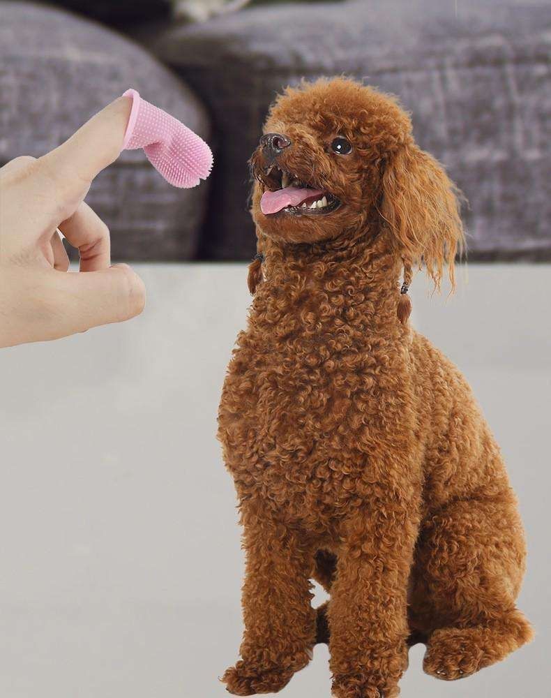 4-pack Dog Toothbrush Pet Finger Toothbrush for Teeth Cleaning