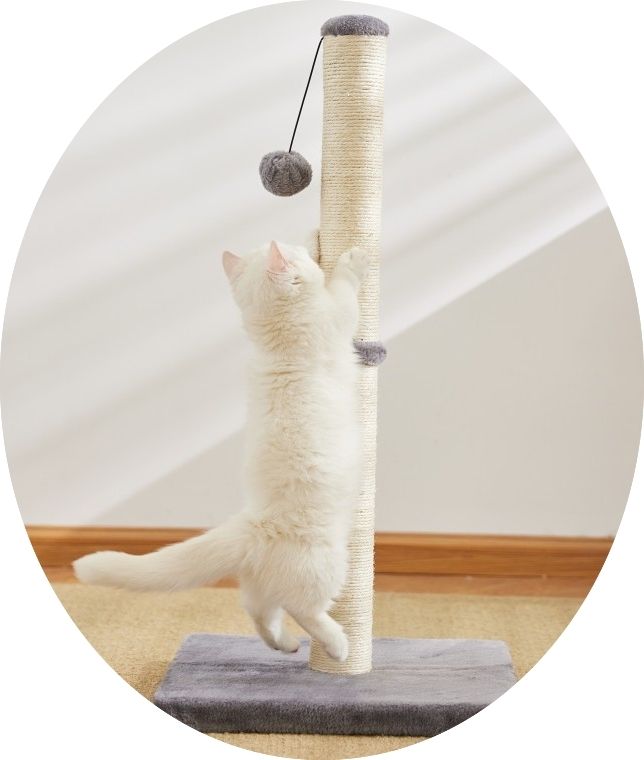 Cat Scratching Post Tree | Multi-Colour