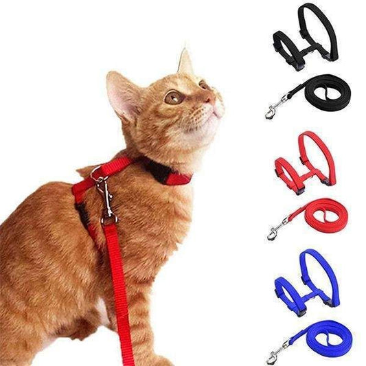 Adjustable Cat Harness in Blue, for Comfortable and Secure Walks