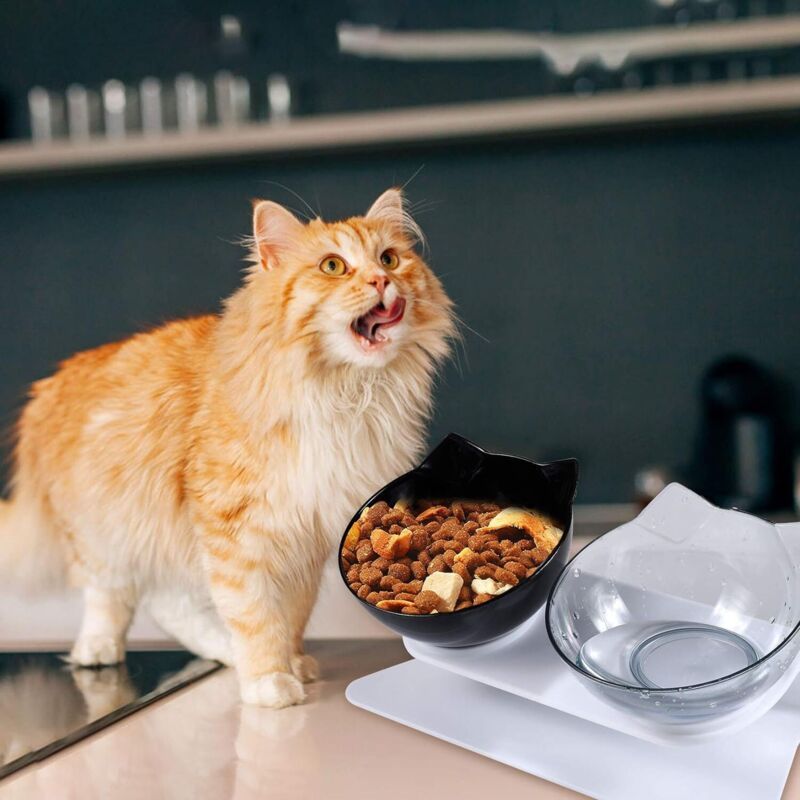Double Raised Cat Bowl Set | 15° Tilt Elevated Stand | Anti-Slip
