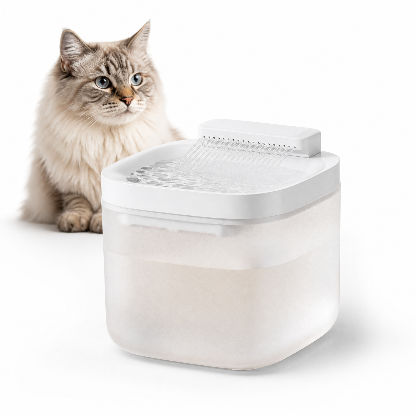 Cat Water Fountain Replacement Filters 6-Pack