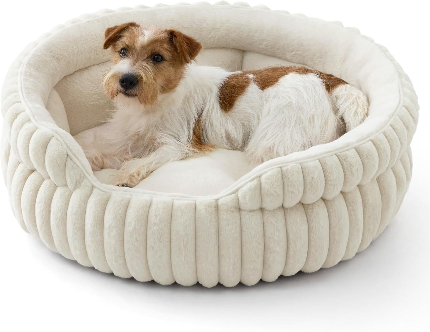 Medium Dog Bed, Washable Cute Pet Bed
