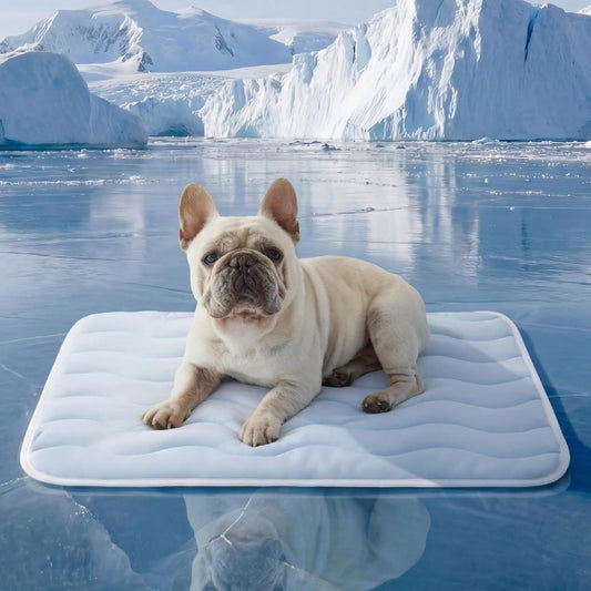 Cooling Mat Medium Size Dog - Q-Max>0.4 Thin Breathable Cooling Crate