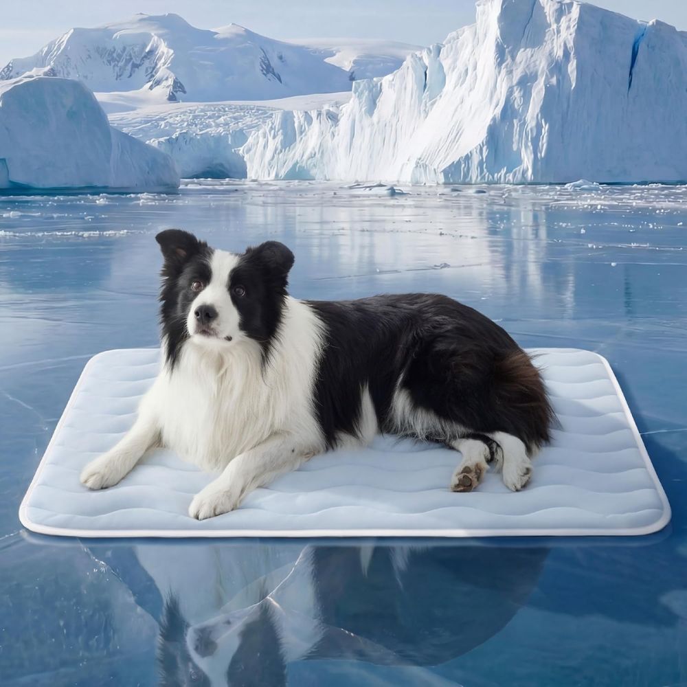 Cooling Dog Mat Extra Large - Q-Max>0.4 XL Thin Breathable Cold Crate