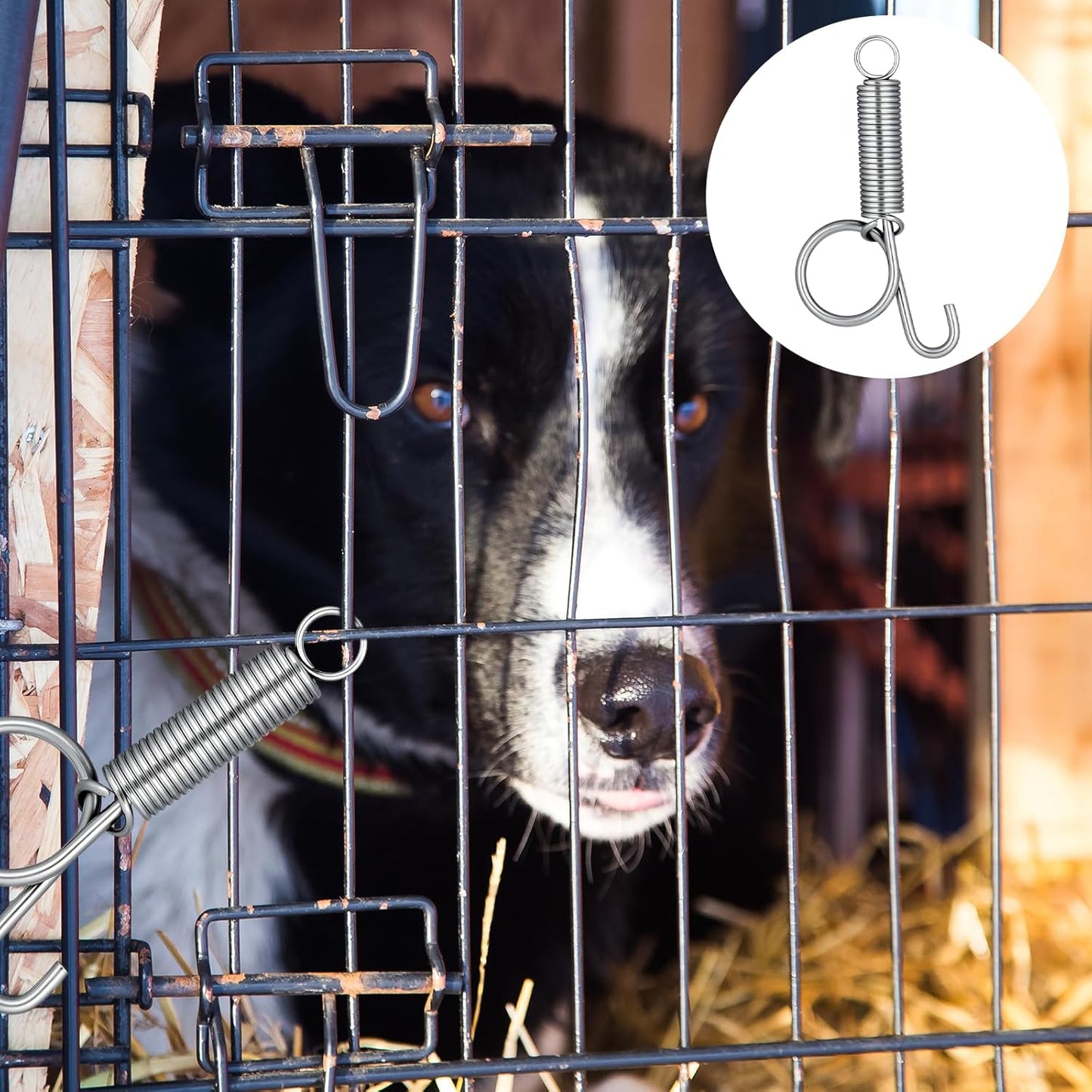 Pet Cage Door Spring Latch Hook | 10-Pack