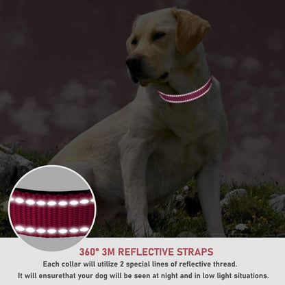 Pink Reflective Dog Safety Collar | Size S