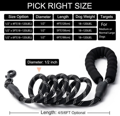 Heavy Duty Nylon Dog Leash | 2 Pack | 4/5/6 FT | Reflective