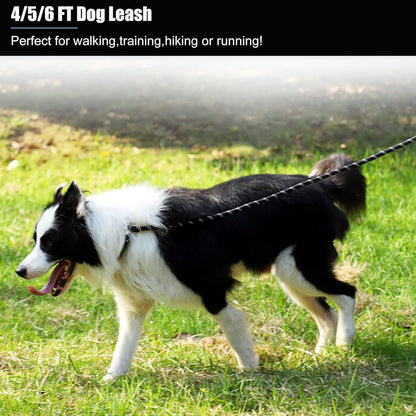 Heavy Duty Nylon Dog Leash | 2 Pack | 4/5/6 FT | Reflective